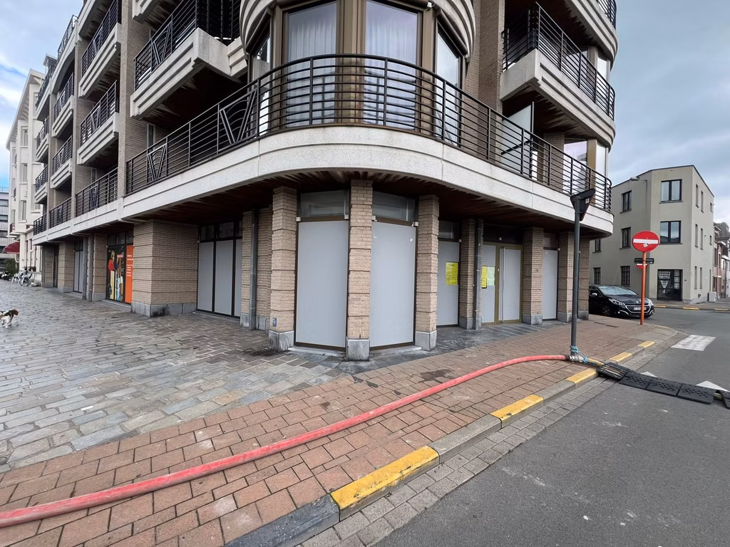 KONING LEOPOLD III PLEIN