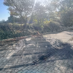 VLUCHTENBURGSTRAAT 11