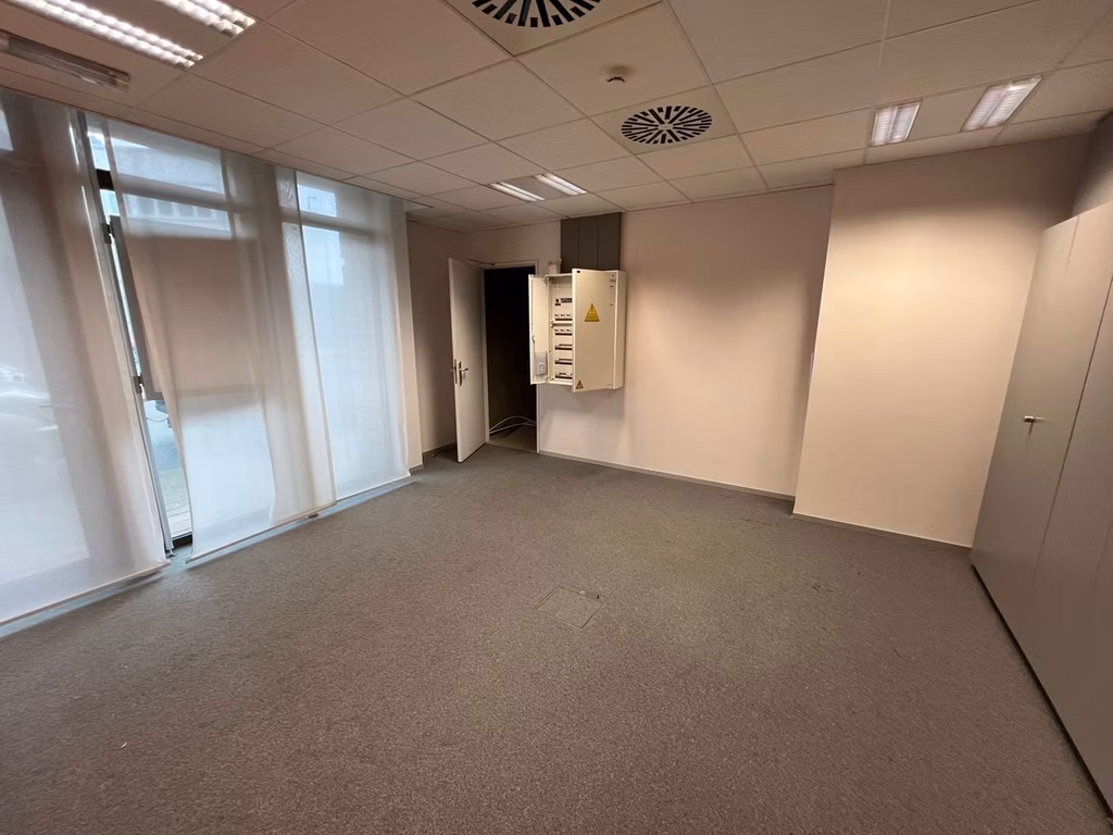 KONING LEOPOLD III PLEIN