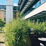 A LOUER - BUREAUX - GARE DE MIDI 