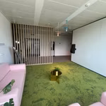 BUREAUX PLUG & PLAY - A LOUER - ZAVENTEM