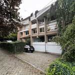 Reine Marie-Henriette 101-102