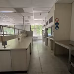 TE HUUR MAGAZIJNRUIMTE KORTENBERG