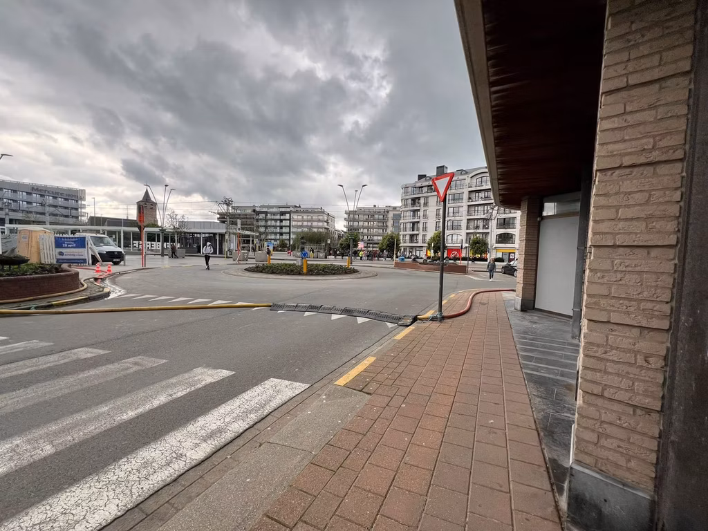 KONING LEOPOLD III PLEIN