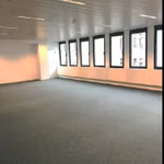 ROYALE 47 - ROYAL GREENHO - B - 352/0372