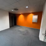 KONING LEOPOLD III PLEIN