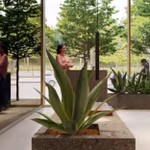 Office for rent <br> Bruxelles