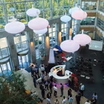 A LOUER - BUREAUX - DROGENBOS