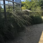 A LOUER - BURAUX - BEERSEL