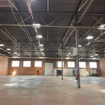 KRUISBAAN 64 - 001 - WA