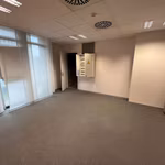 KONING LEOPOLD III PLEIN