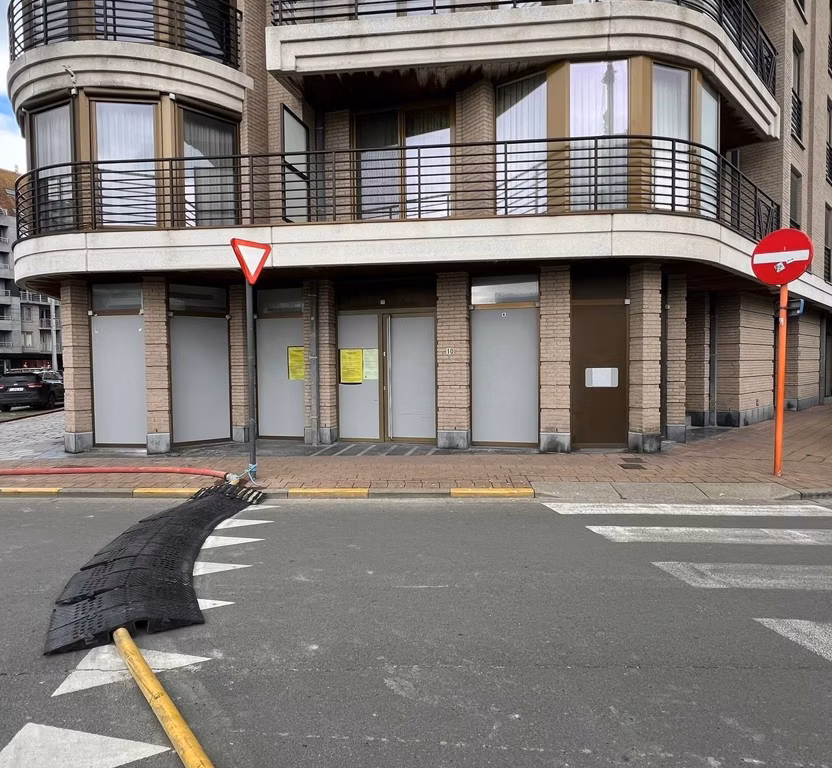 KONING LEOPOLD III PLEIN