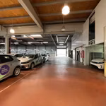 Industrieel te huur <br> Kontich