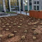 A LOUER - BUREAUX - BRUXELLES / ZAVENTEM