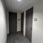 KONING LEOPOLD III PLEIN