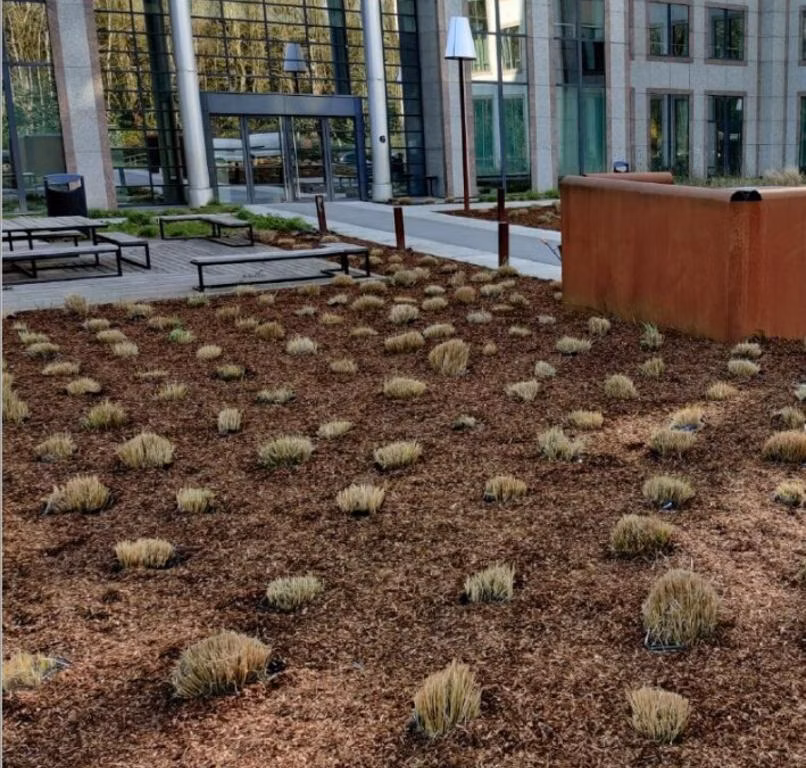 A LOUER - BUREAUX - BRUXELLES / ZAVENTEM