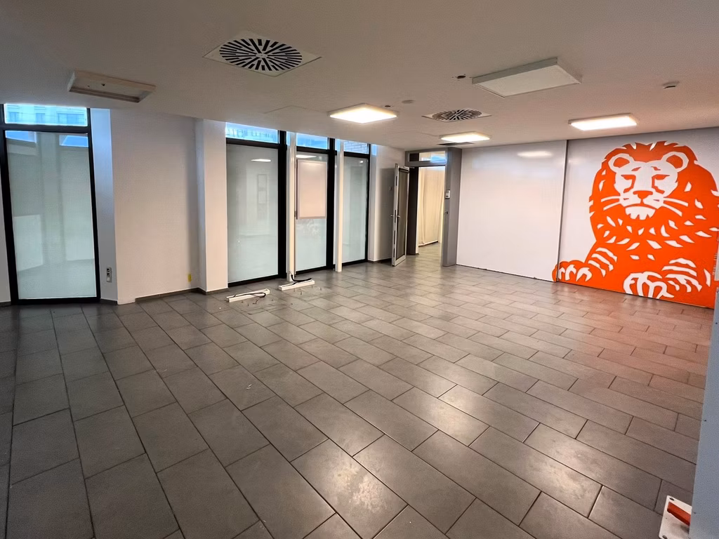 KONING LEOPOLD III PLEIN