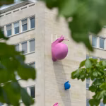 A LOUER - KRAAINEM - BUREAUX