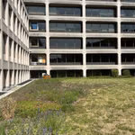 A LOUER - BUREAUX - BRUXELLES