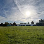 KMO-UNIT 240 M² - 720 m² TE HUUR – Rumst  – NABIJ E19 EN A12