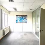 A LOUER - IMMEUBLE DE BUREAUX -  ZAVENTEM 3.000 EURO / MOIS - MULTIPLES POSSIBILITES