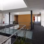 SCHUMAN 12