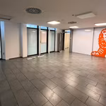 KONING LEOPOLD III PLEIN