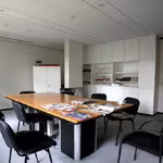 COL VERT 5 - B - 352/3781