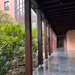 BOIS SAUVAGE 17 -  - 352/3685