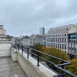 LOUISE 81 - B - 352/3455