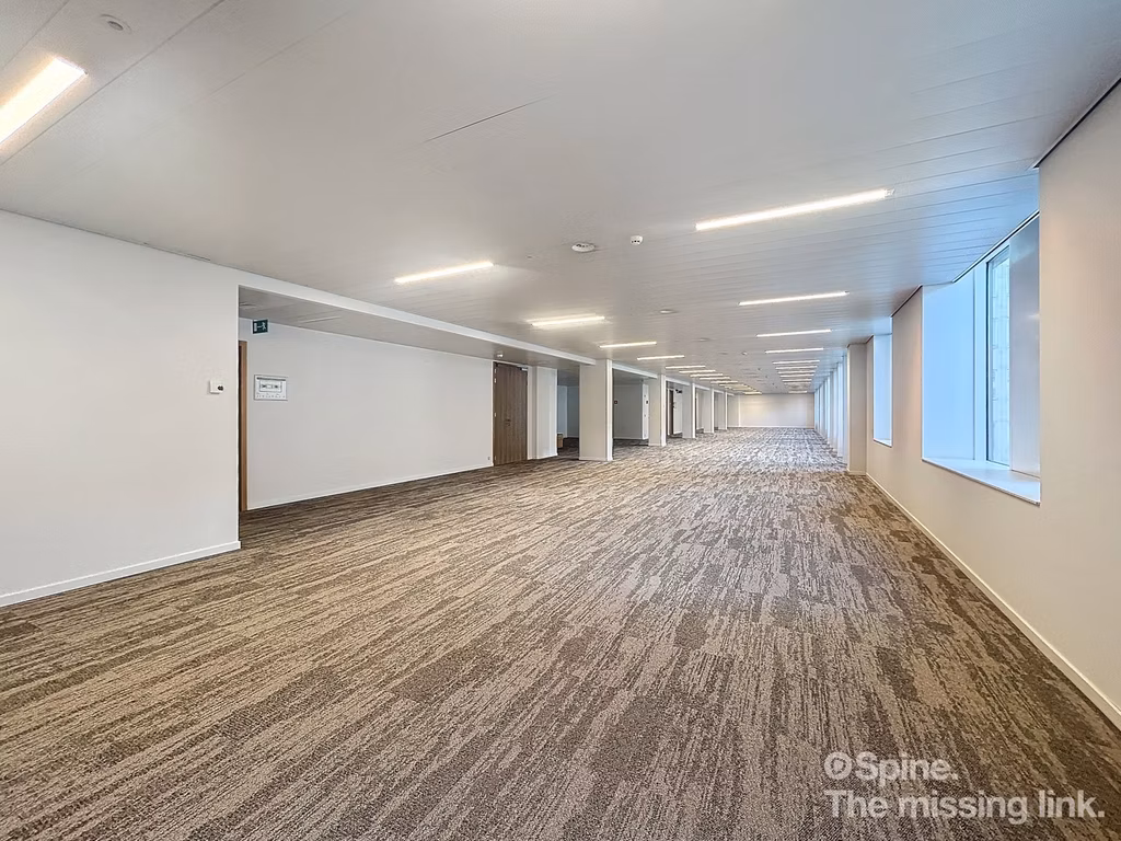 LOUISE 143 E-LITE - B - 352/1300